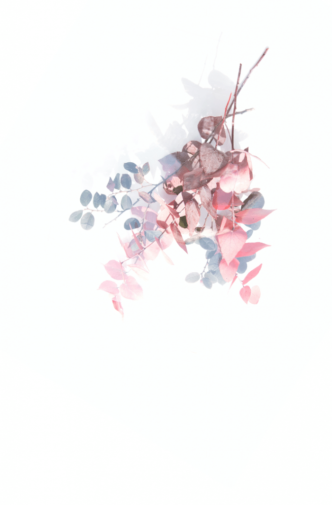 fLOWER1