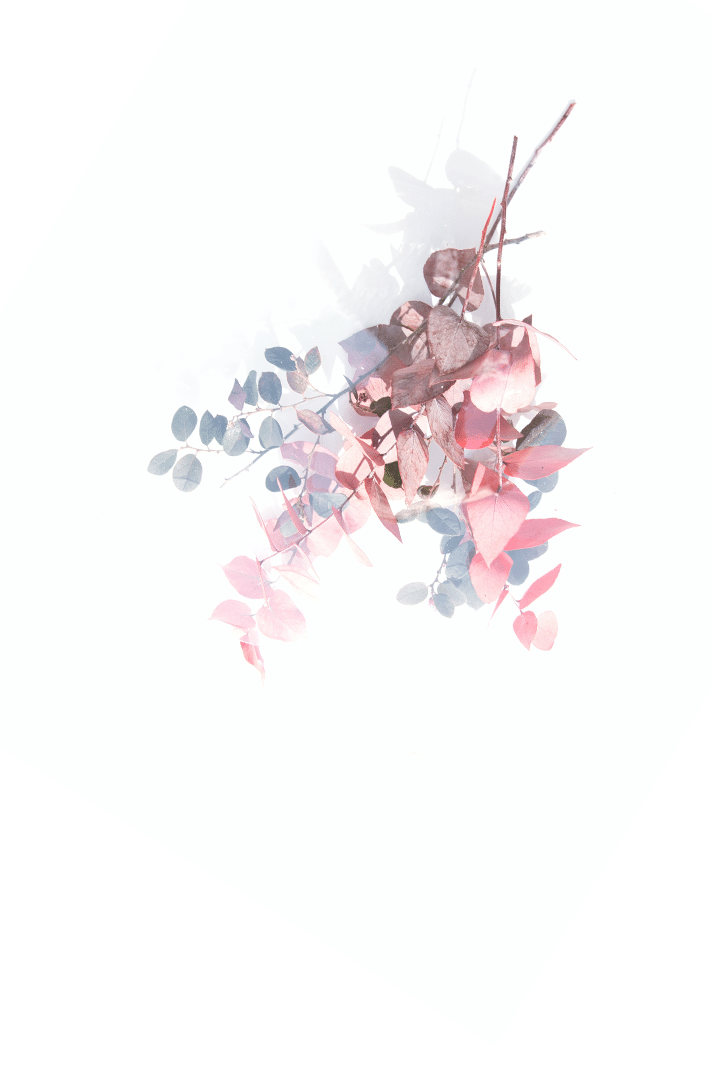 fLOWER1