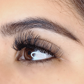 lashes